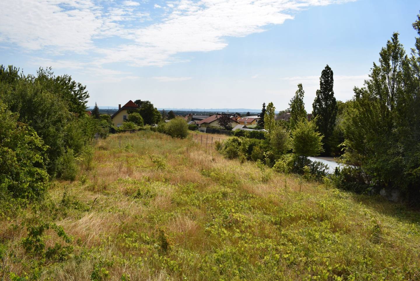 Large plots in Sooß