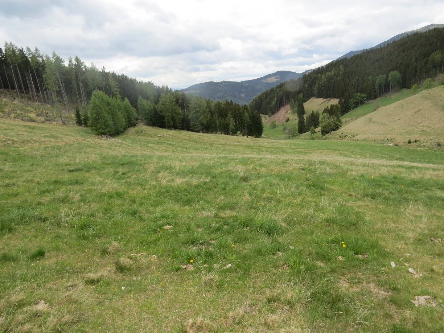 11,4 ha Wiese & Wald in Sankt Marein