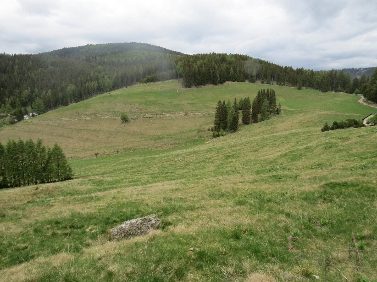 11,4 ha Wiese & Wald in Sankt Marein