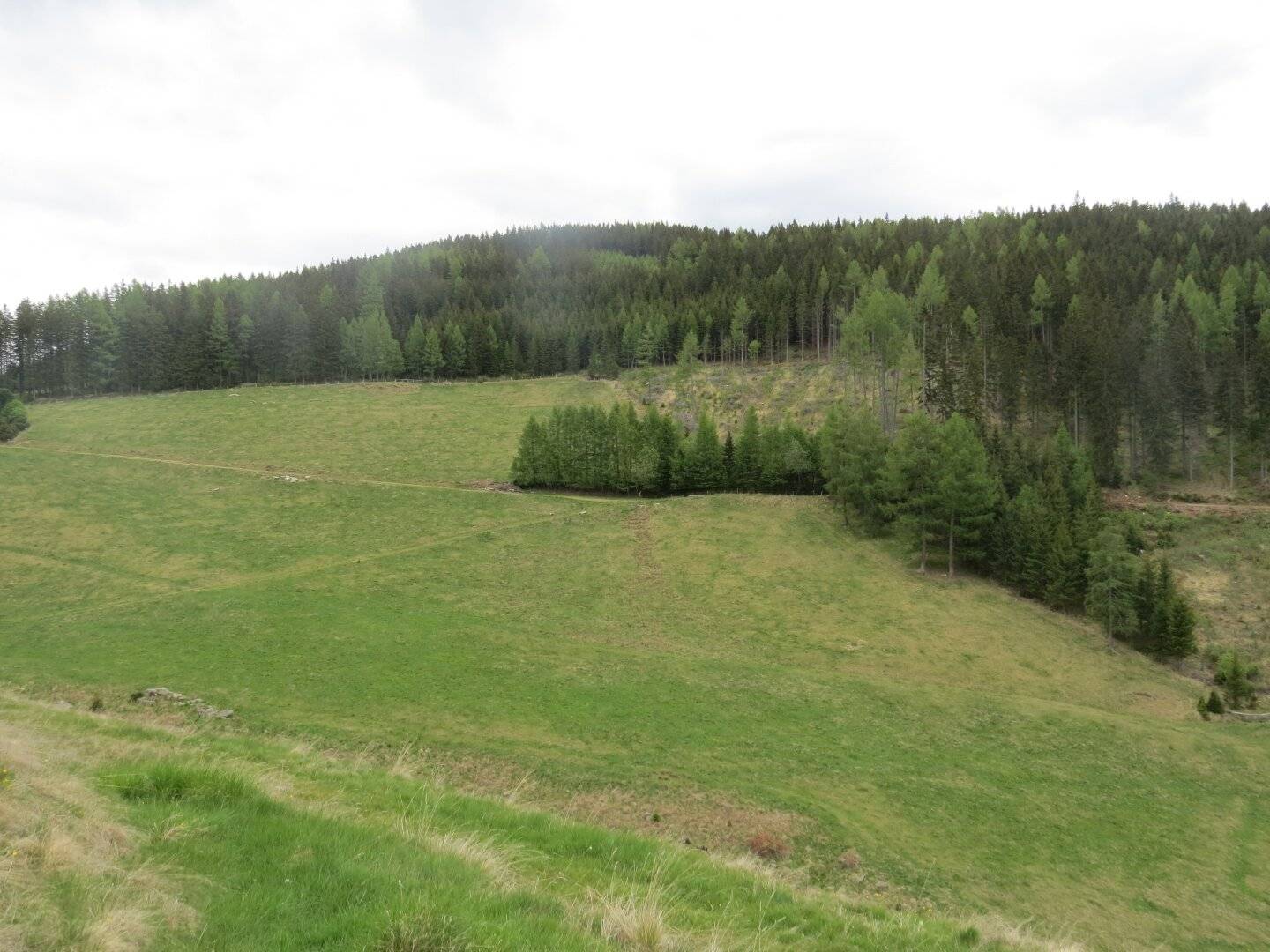 11,4 ha Wiese & Wald in Sankt Marein