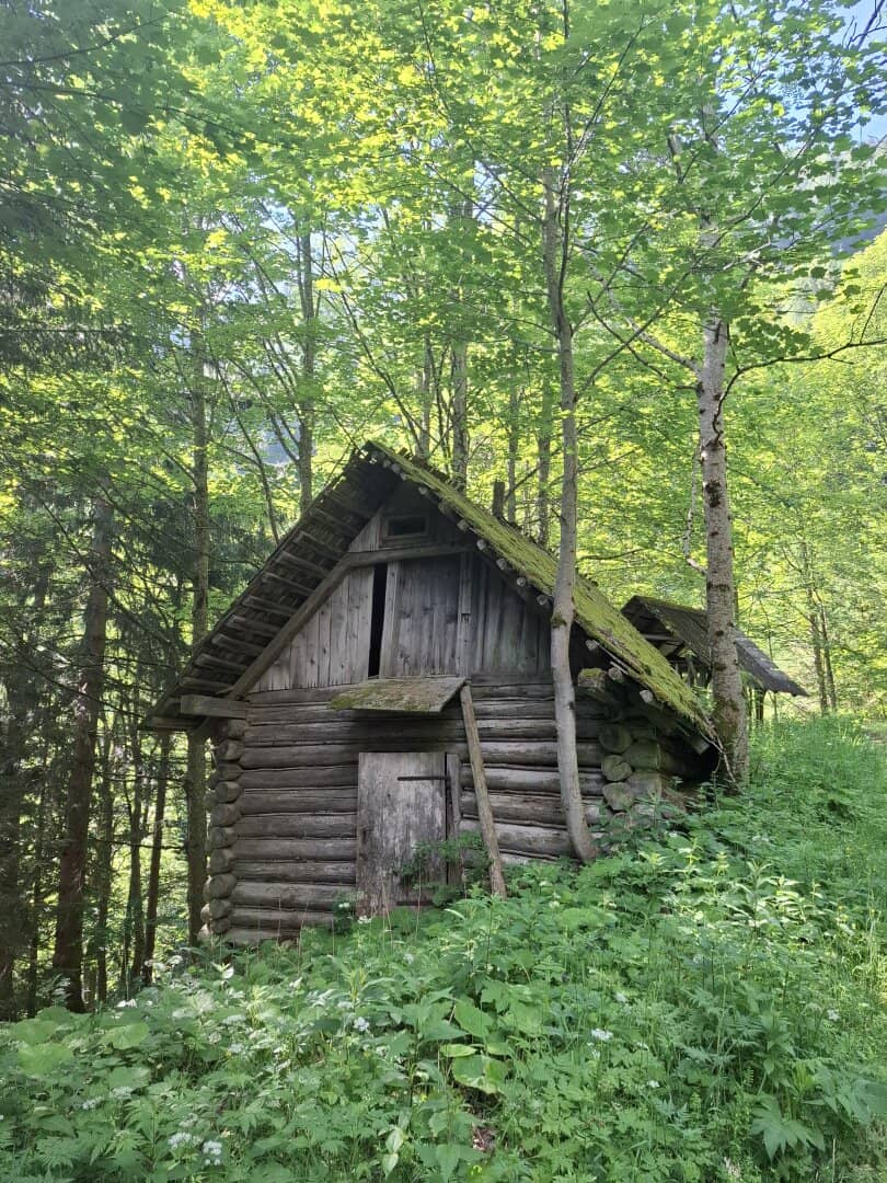 33 ha Wirtschaftswald in Breitenau
