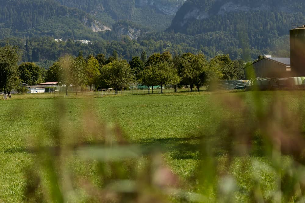 Grundstück für Doppelhaushälfte Götzis