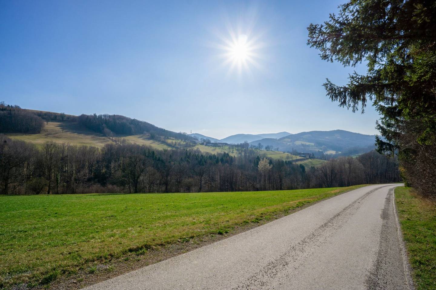 Panoramahaus Laaben 231m²