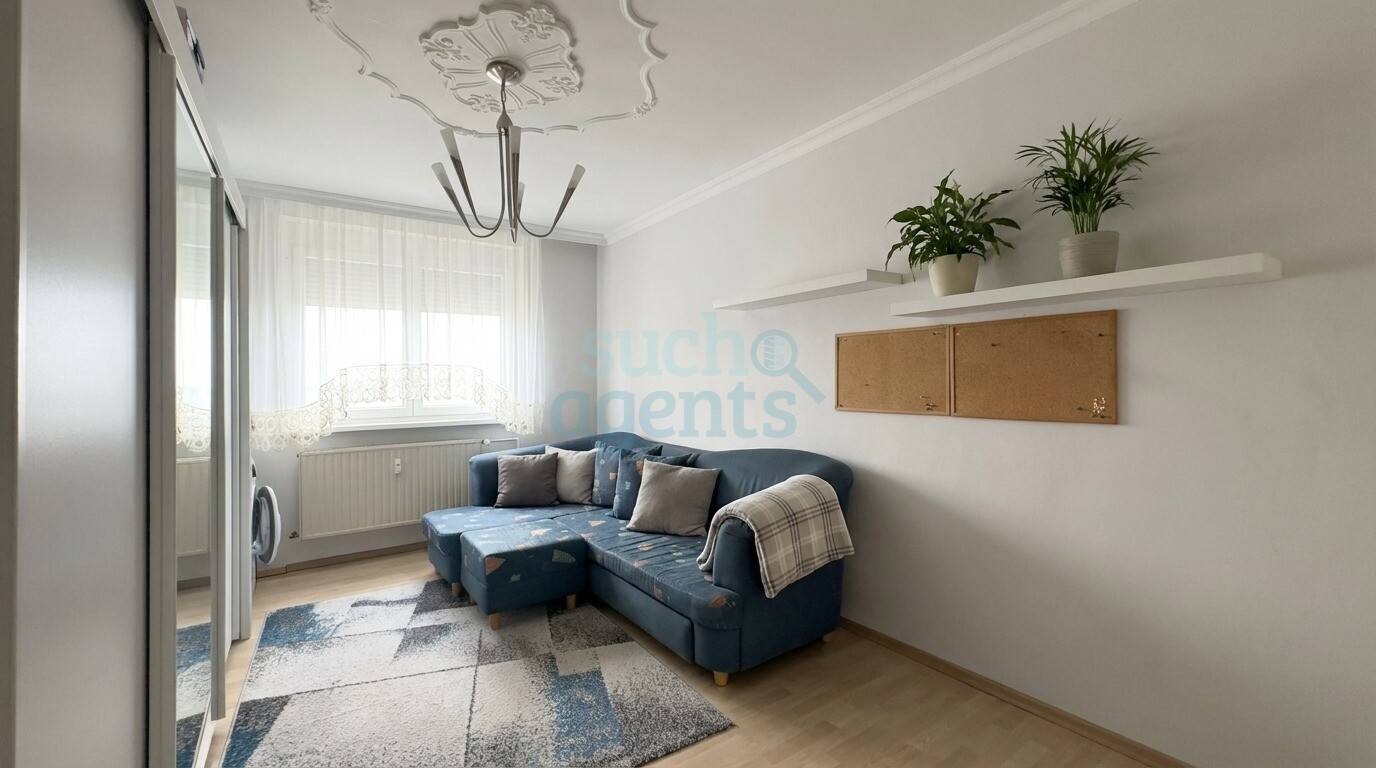 Wohnung Zentrale Lage Modernisiert Balkon