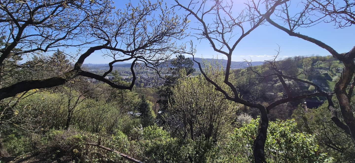 Baugrund mit Fernblick Langenzersdorf