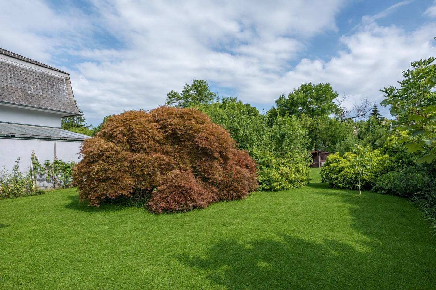 Sonniger Baugrund 969 m² Liesing
