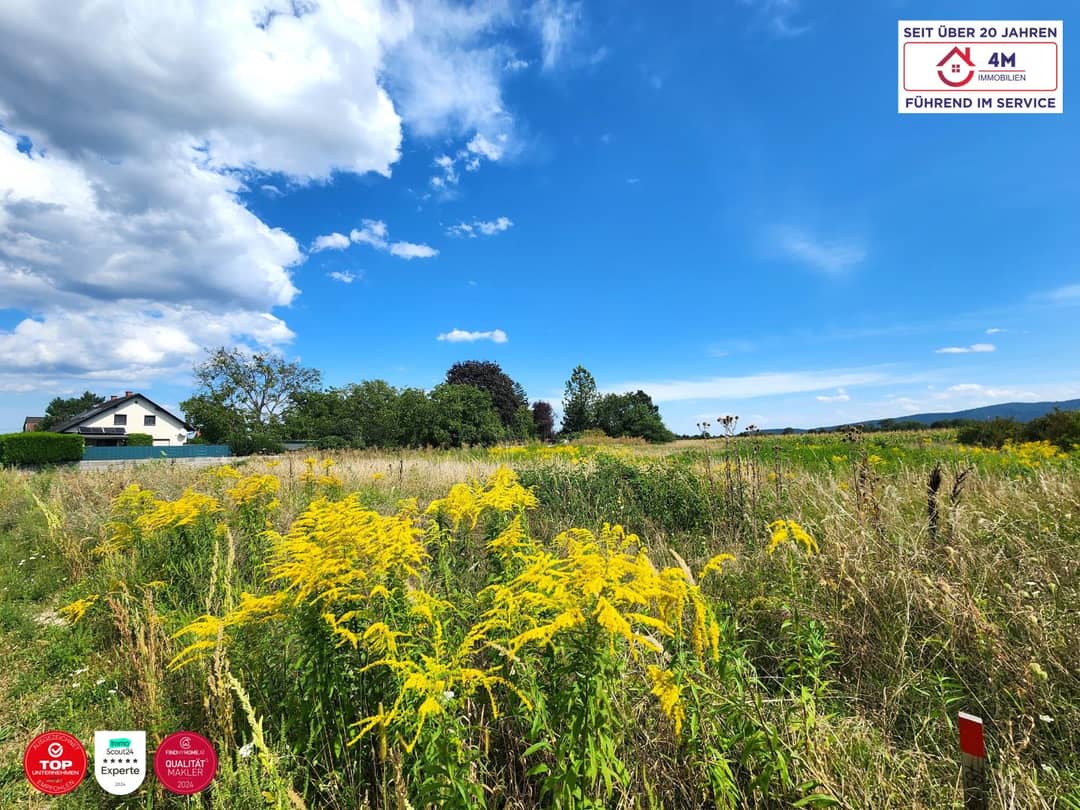Divisible building land in Wiener Neustadt