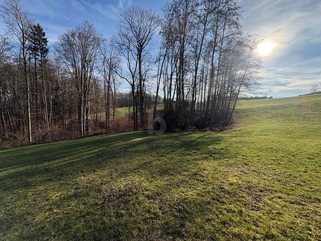 Plot 1633 m² Garsten