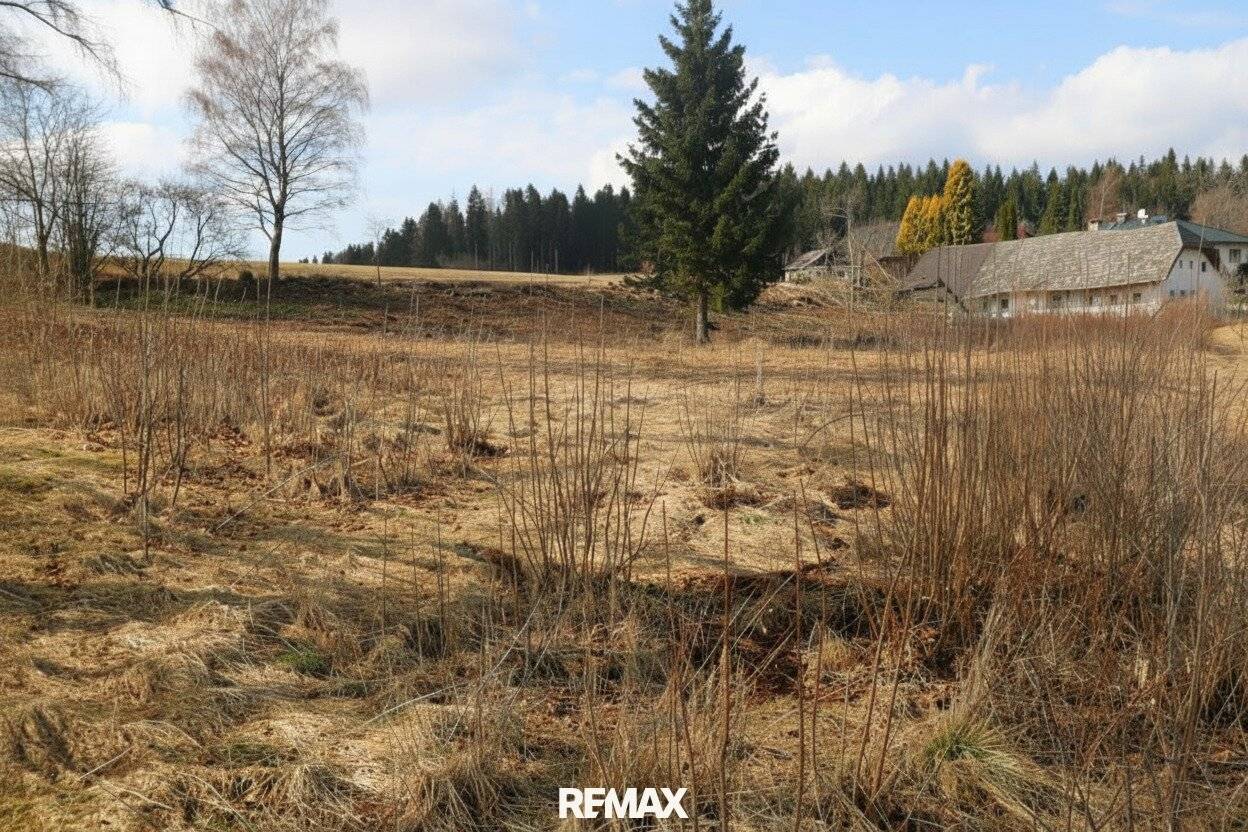 Großes Grundstück 4361 m² Köckendorf