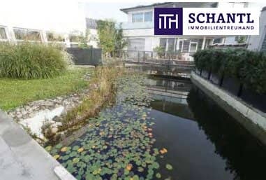 Investment Property with Dental Practice and Apartment