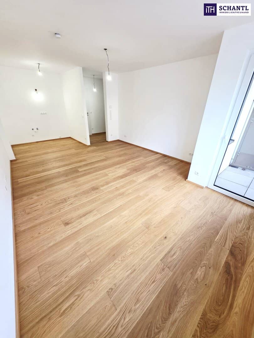 Wohnung Neubau mit Loggia und Photovoltaik