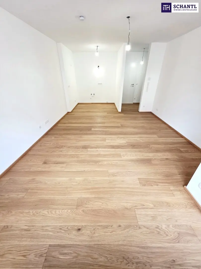 Wohnung Neubau mit Loggia und Photovoltaik