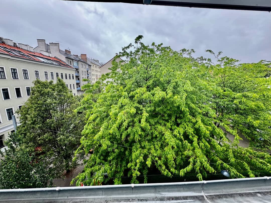 Immobilienbild 4
