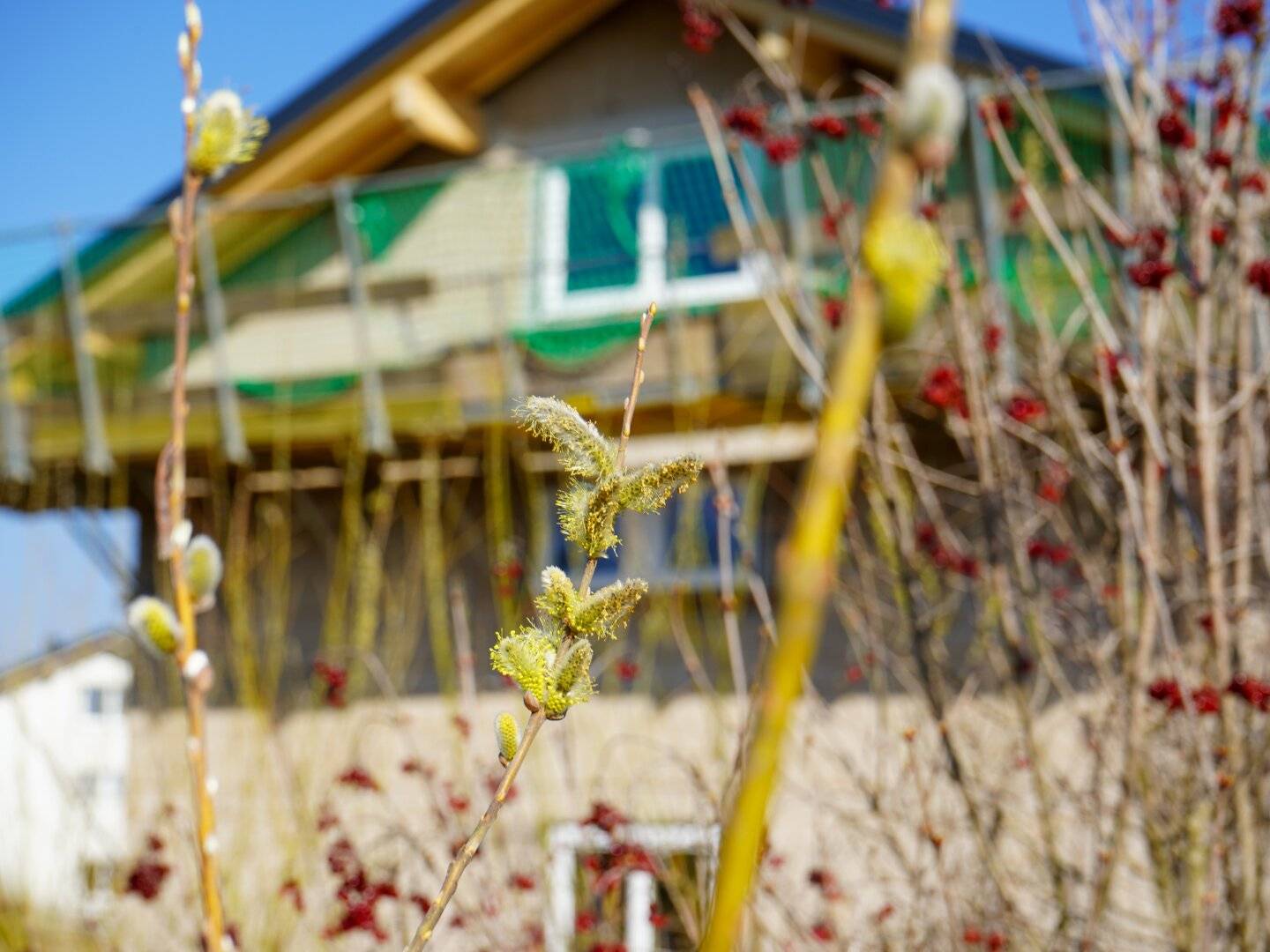 Immobilienbild 3