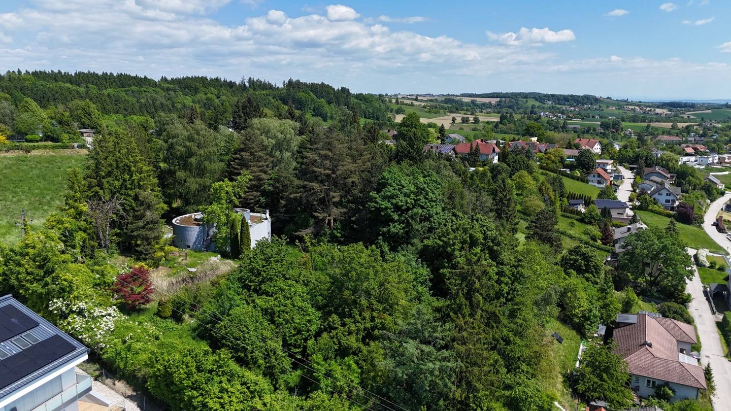 Baugrundstück 4052m² Buchkirchen