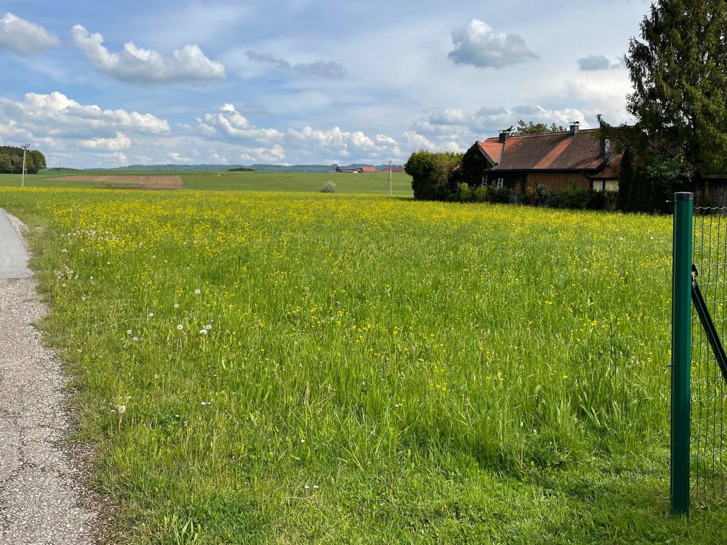 GRÜNE HEIMAT | Schönes Baugrundstück für Familien in Lamprechtshausen