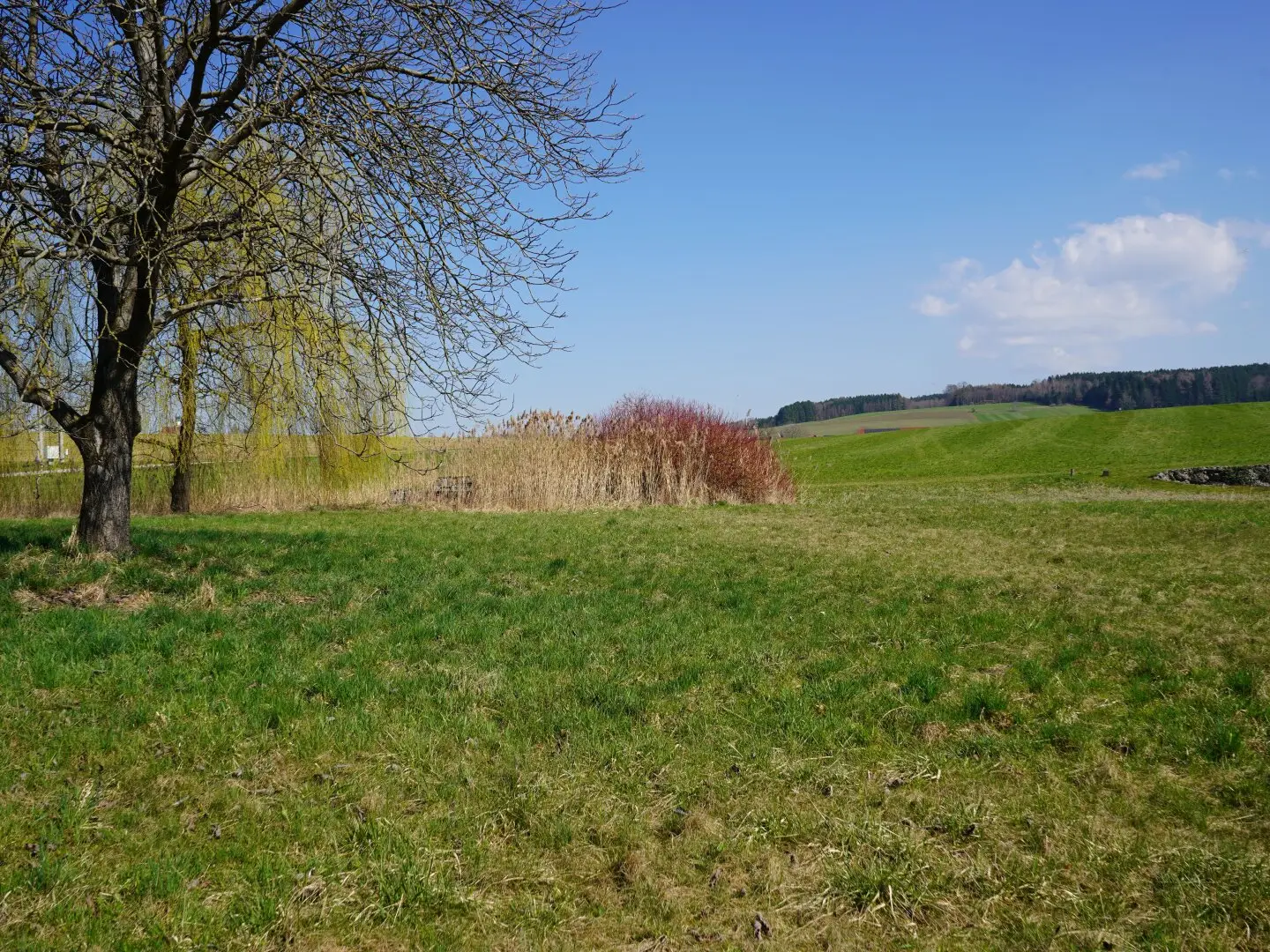 Baugrundstück in Moosdorf, 689 m²