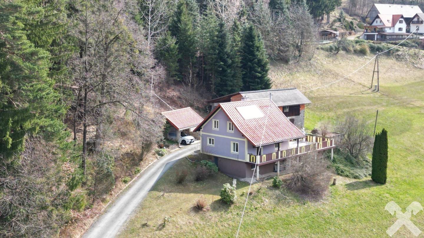Bauernhaus mit Wald in Stammeregg