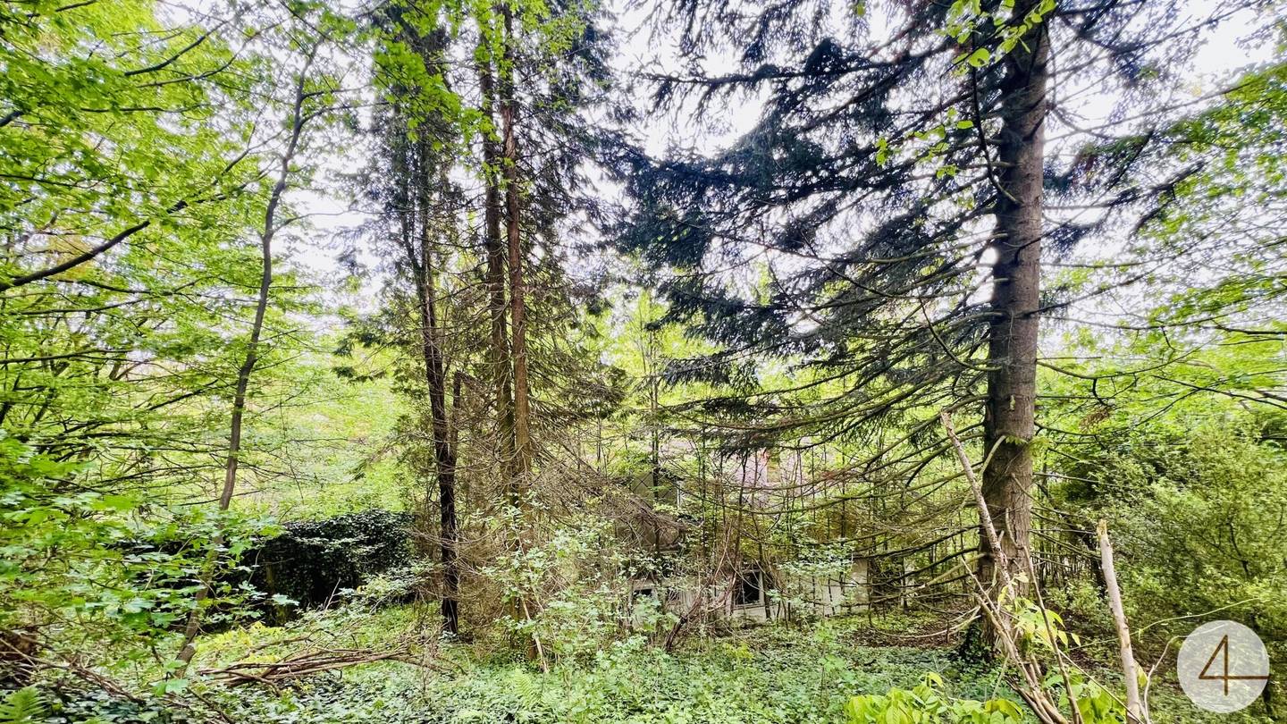 Baugrundstück 1303m² Pressbaum