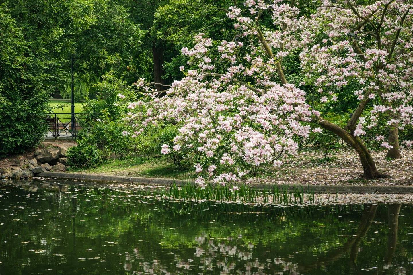 Cottage Garden – Exclusive Private Residences in Vienna's Cottage Quarter