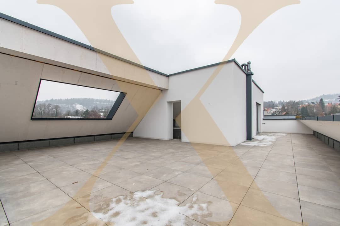 Penthouse with Rooftop Terrace in Linz-Urfahr