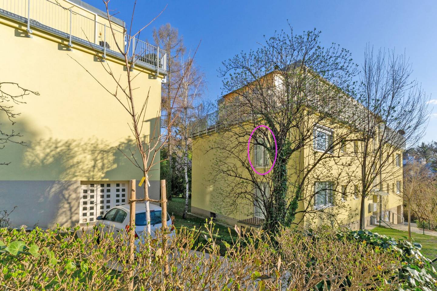 Bright apartment in Grinzing near vineyards