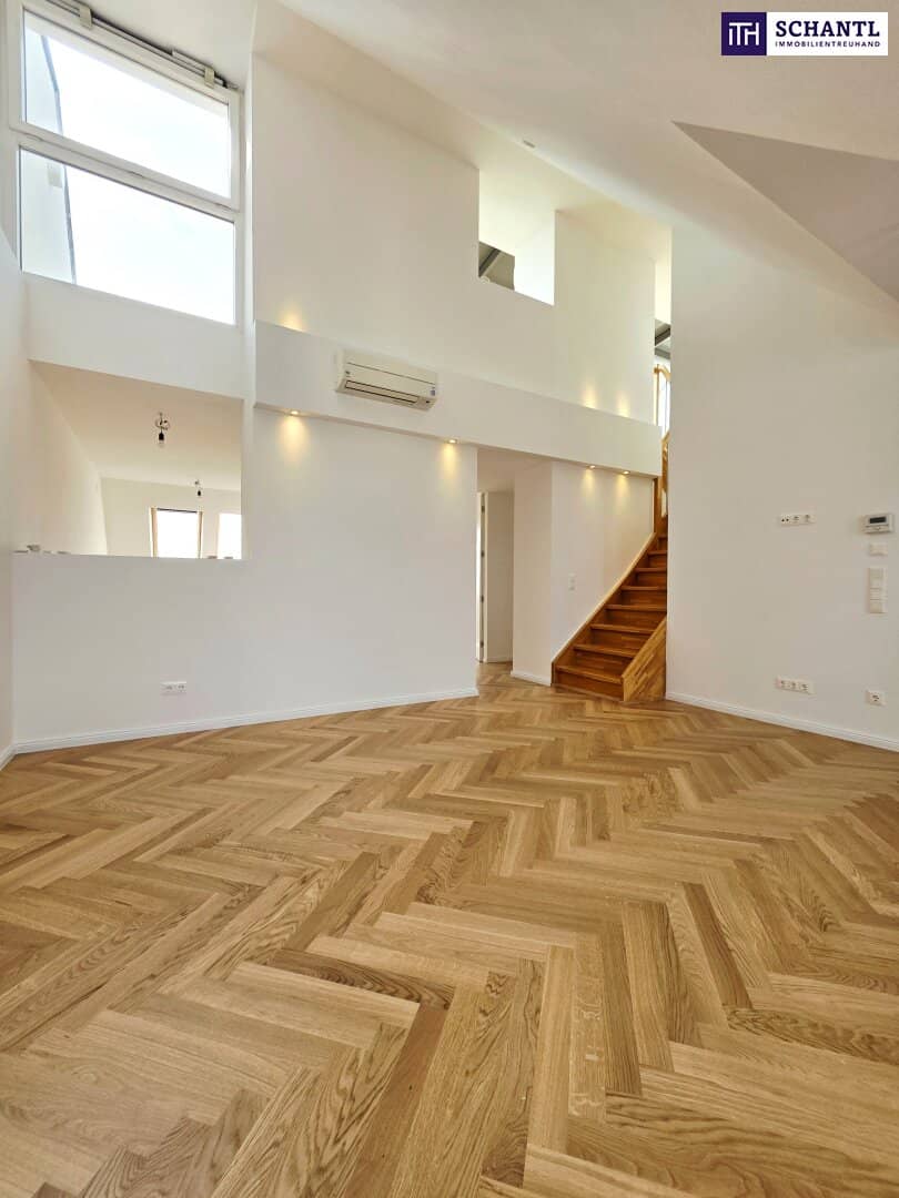 Attic apartment with terrace and distant view