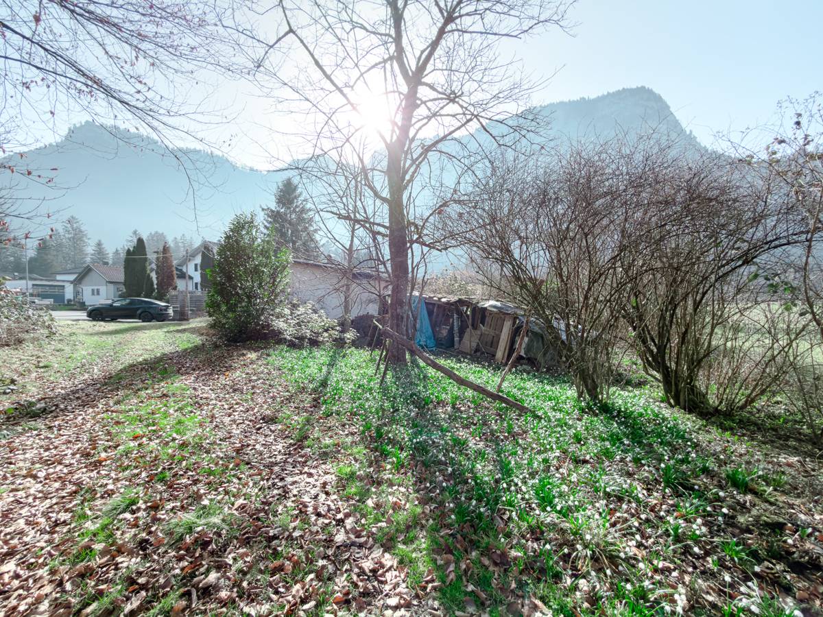Baugrundstück 1.587 m² Dornbirn