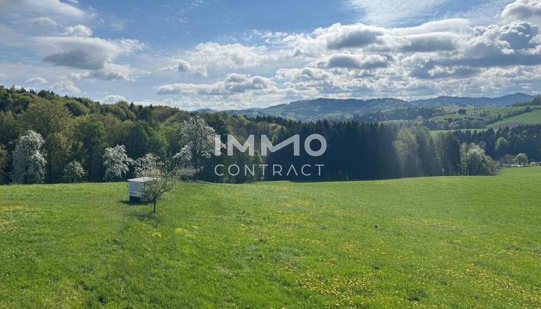 Neuwertiges Haus in Hofstetten mit Fernblick