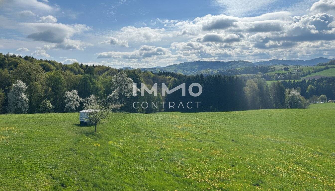 Neuwertiges Haus in Hofstetten mit Fernblick