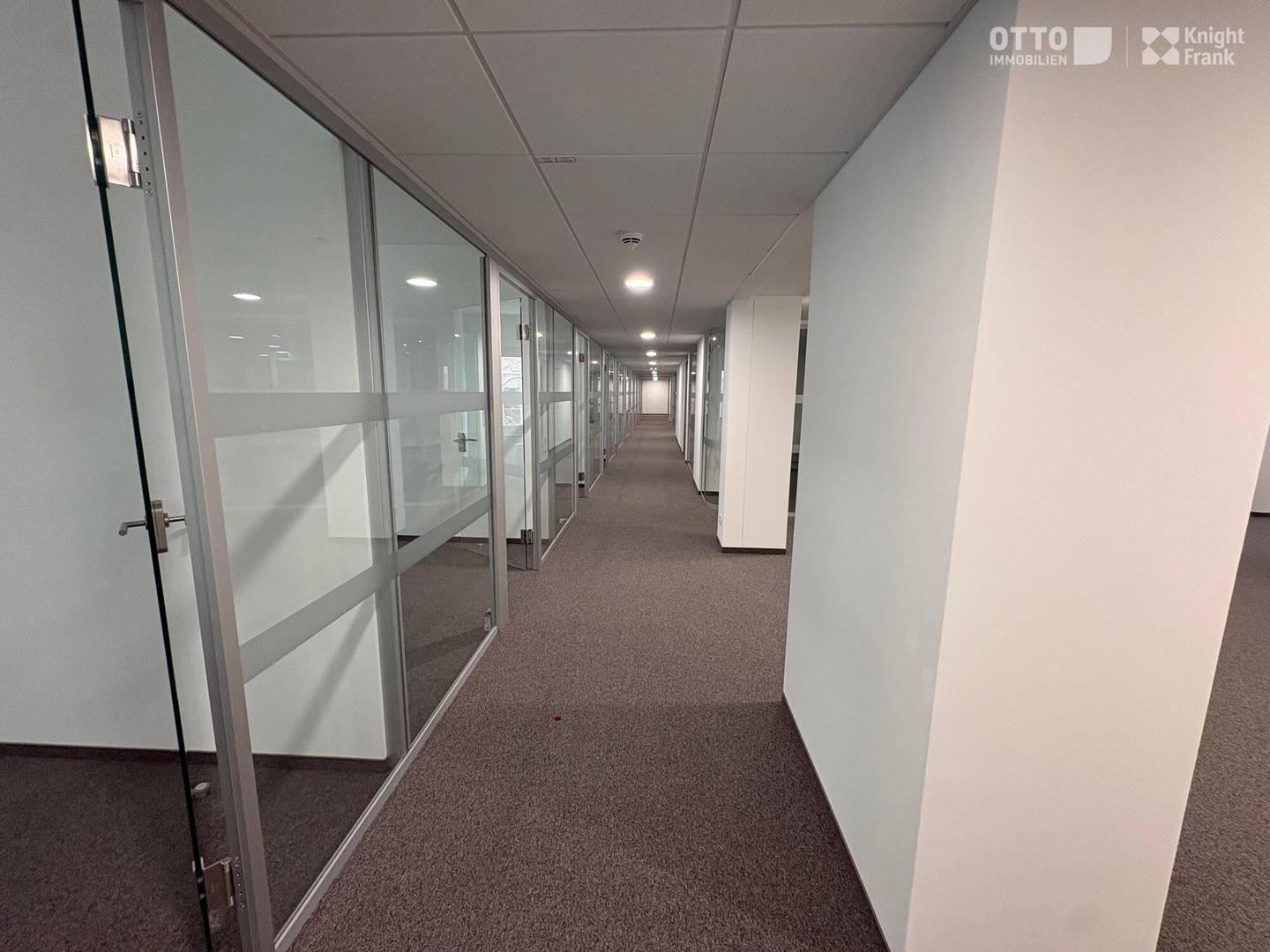 Modernes Büro Lassallestr. 757m²