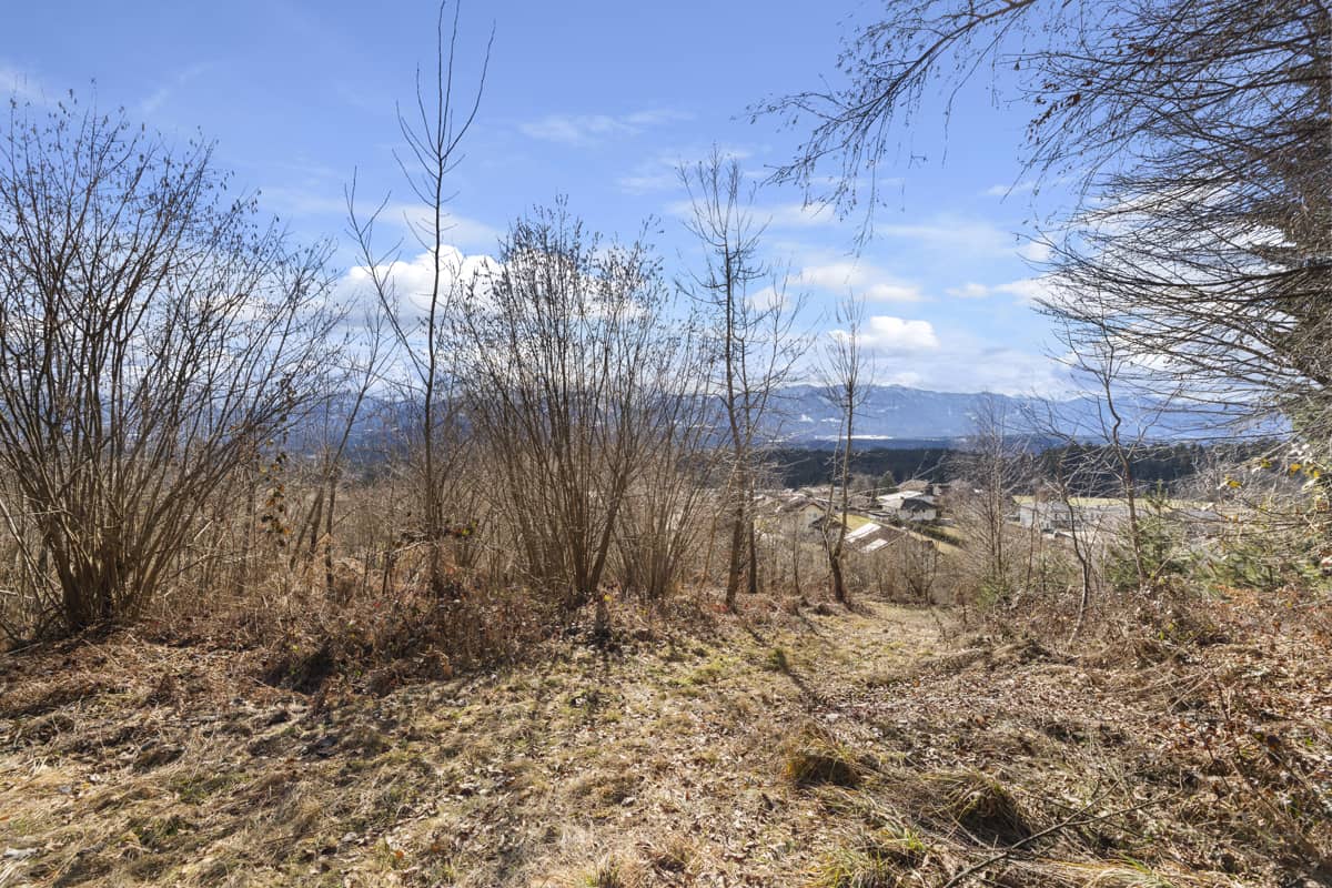 Baugrundstück mit Aussicht in Wernberg