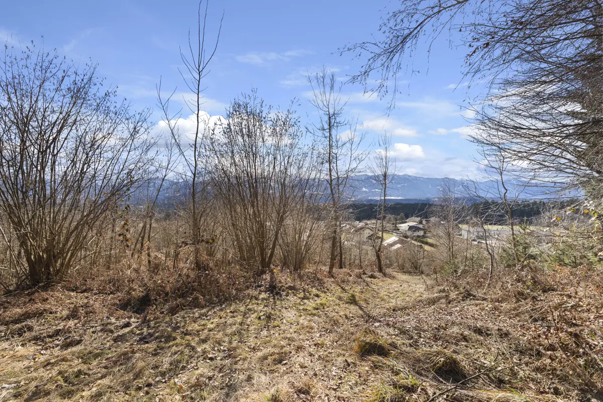 Baugrundstück mit Aussicht in Wernberg
