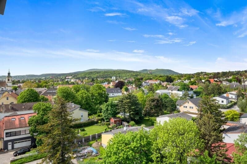 Dachgeschosswohnung mit Burg Liechtenstein Blick