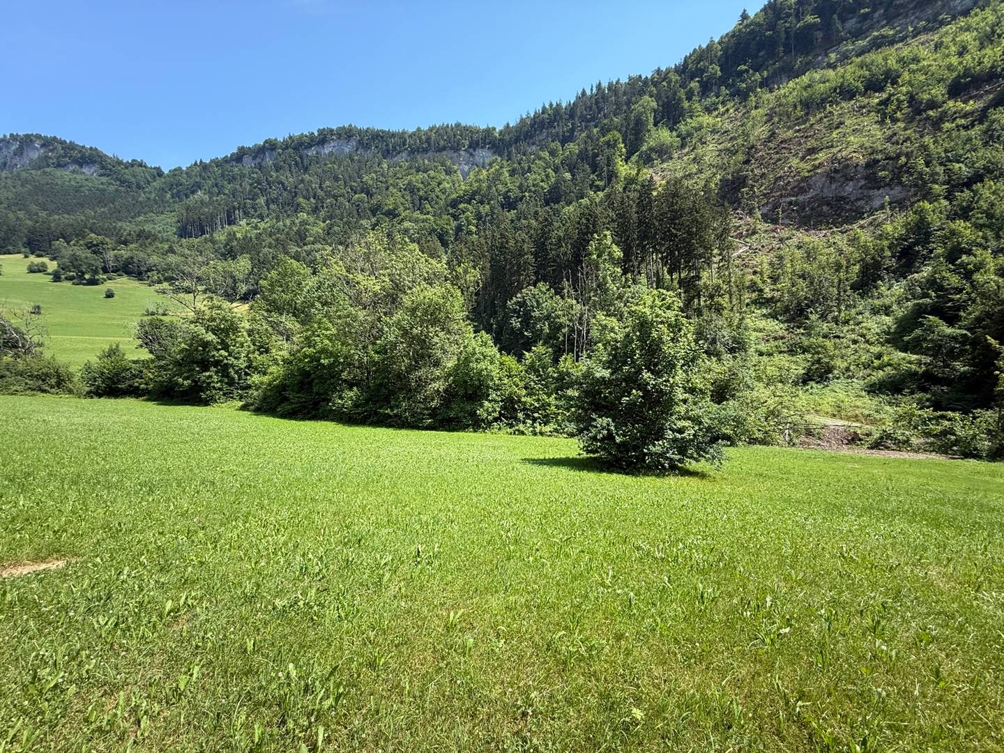 Grundstück Götzner Berg 876 m²