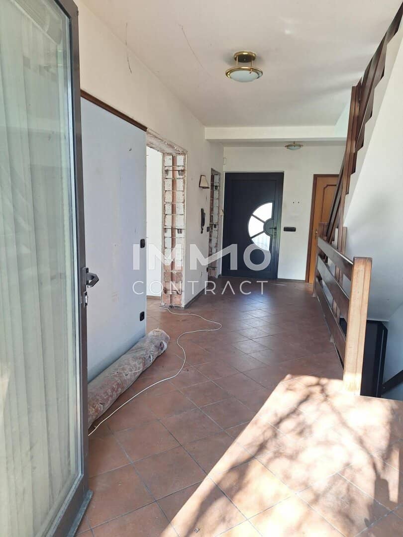Live-Work House with Rooftop Terrace in Aspern