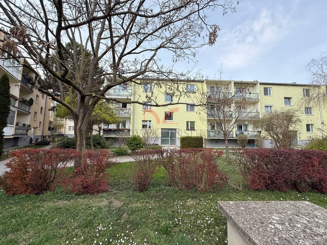 4-Zimmer-Wohnung mit Loggia in Wiener Neudorf