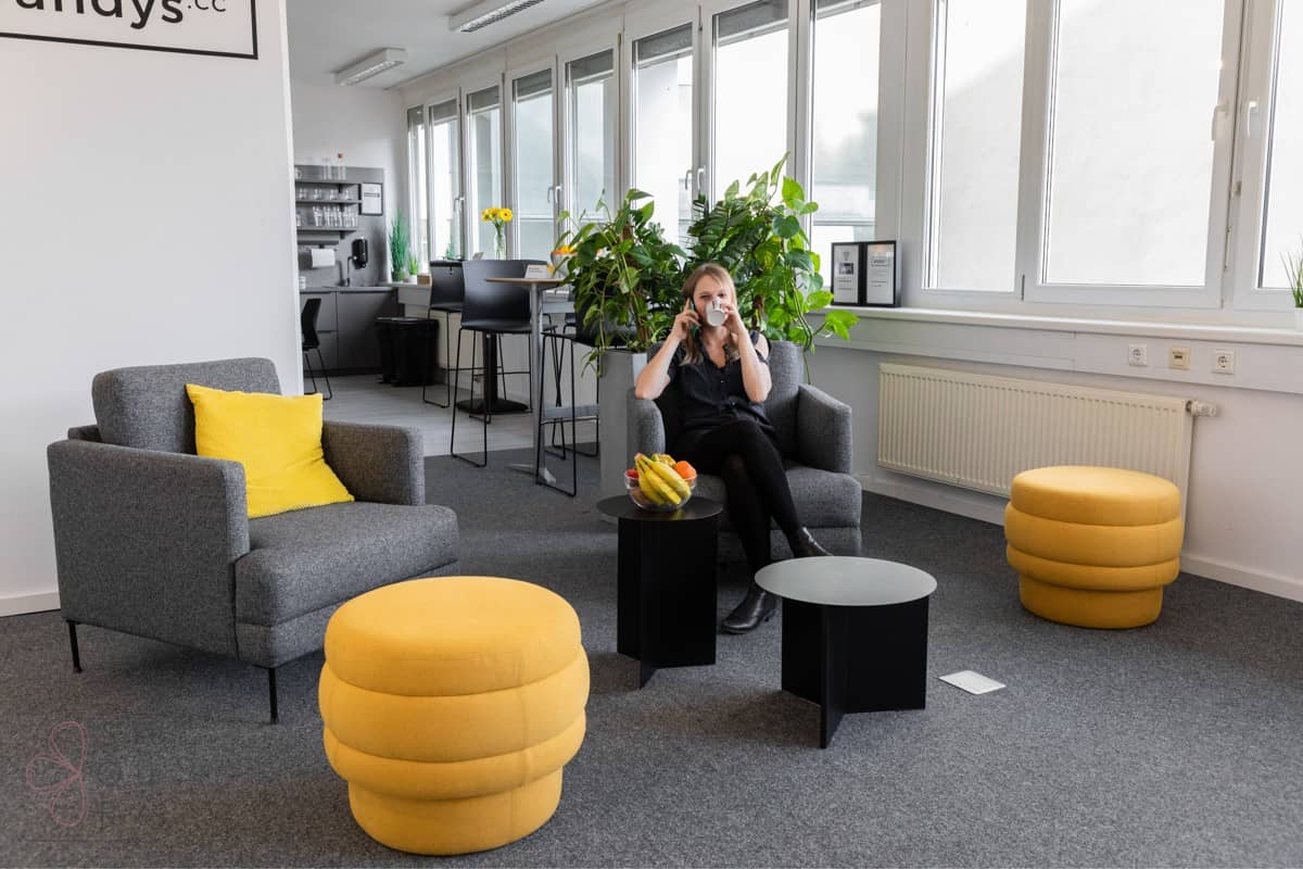 Coworking-Office 300m² in Liesing