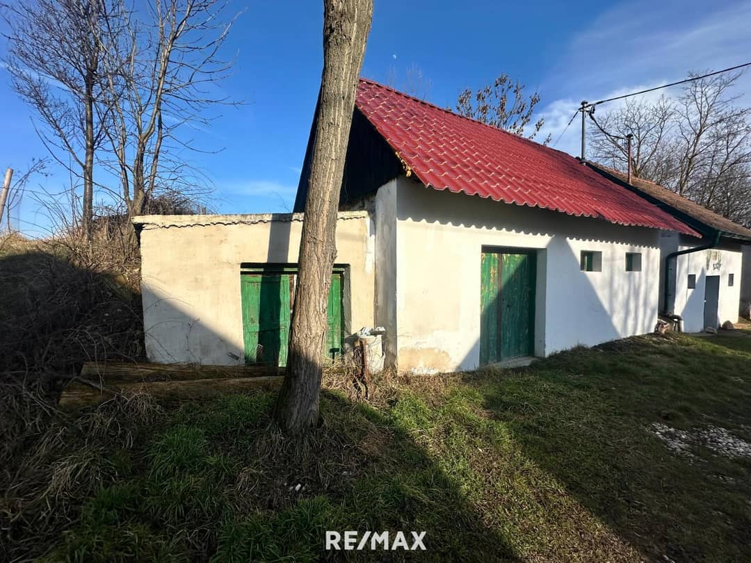 Wine Cellar in Bullendorf, 51 m²