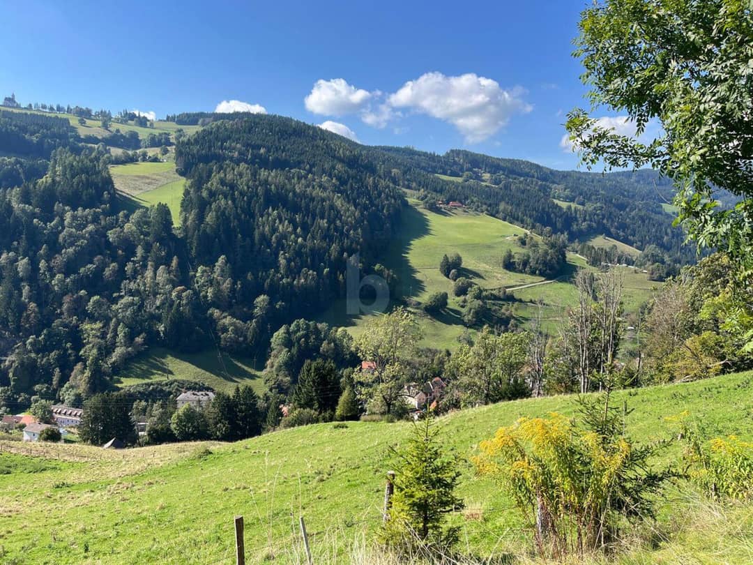 Immobilienbild 3