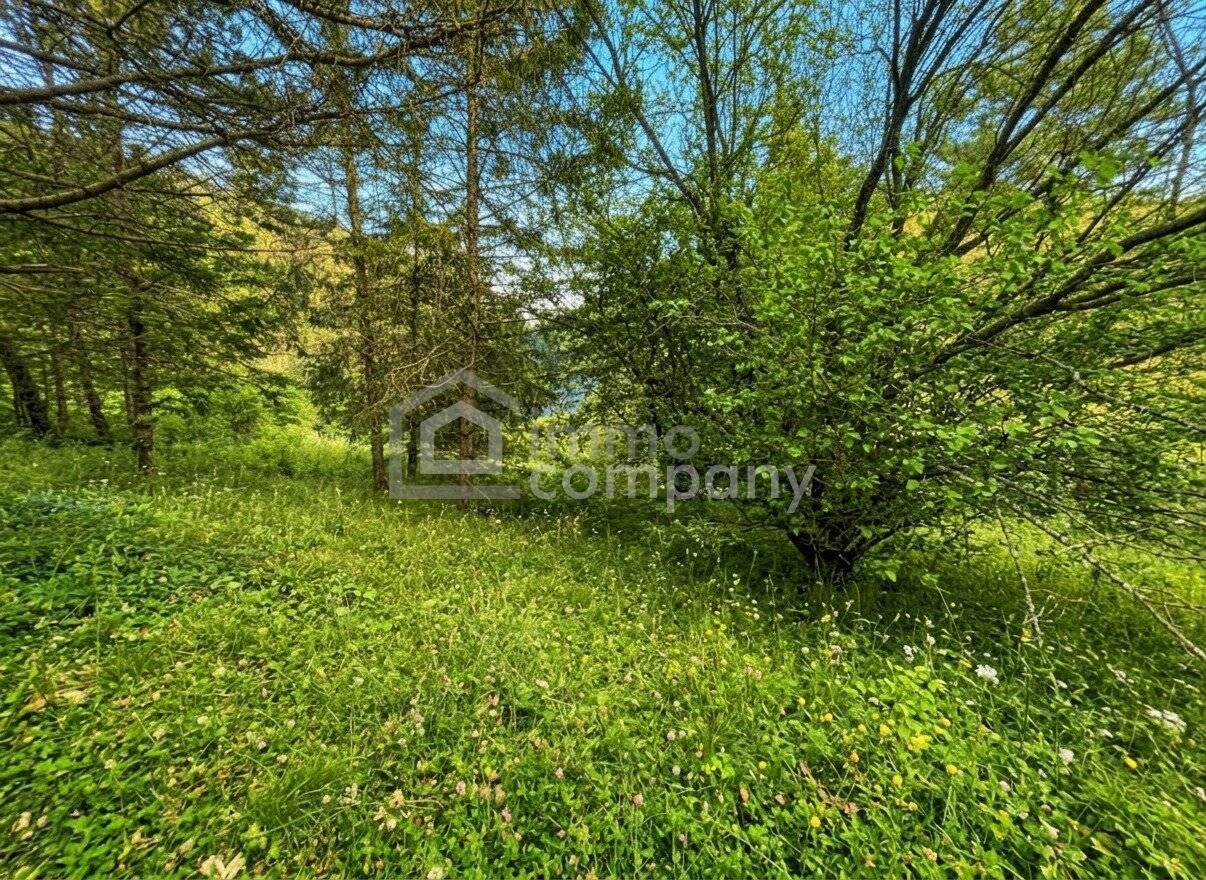Bungalow with garden in Maria Raisenmarkt