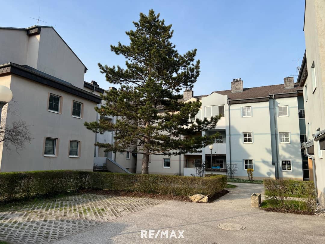 Wohnung mit Loggia und Stellplatz gut geschnitten