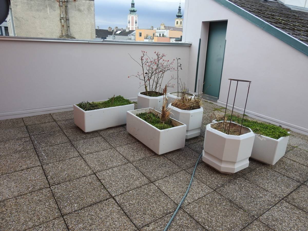Wohnung mit Wintergarten und Dachterrasse