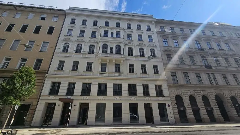 Revitalized Historic Office 339m² 1010