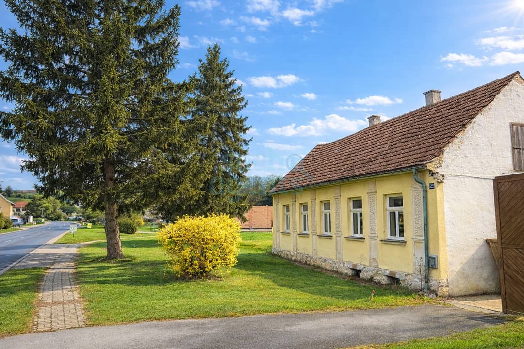 Property with Potential in Ladendorf