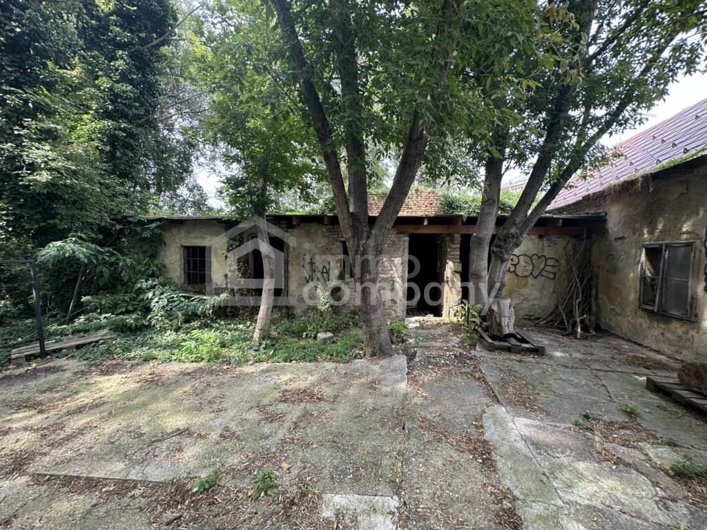 House with Potential, 1110 Vienna