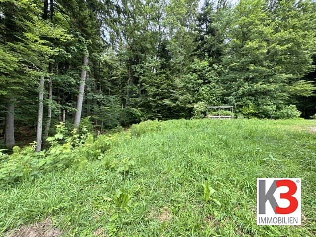Baugrund Koppl 829 m²