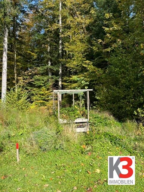 Baugrund Koppl 829 m²