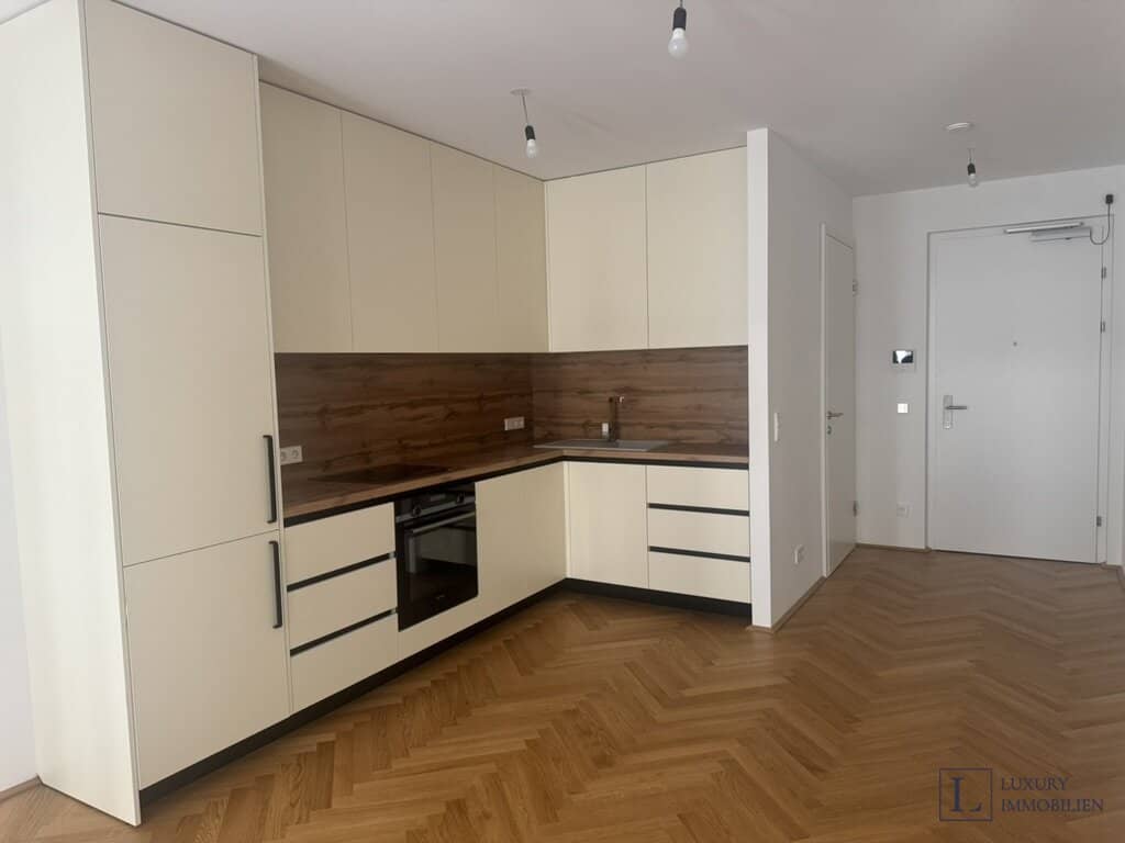 Brand new apartment with balcony and geothermal