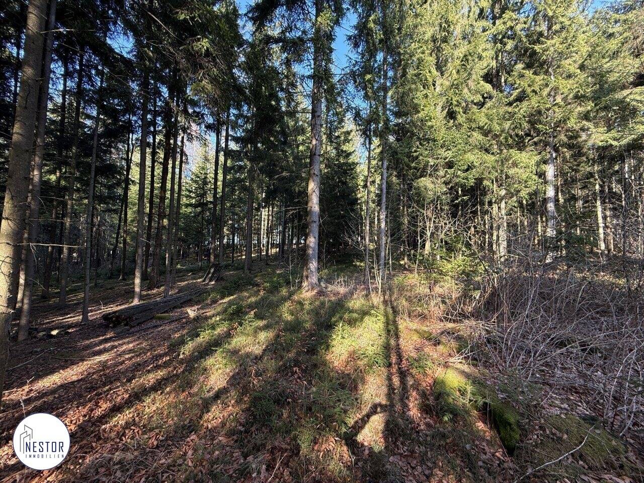 Einfamilienhaus-Rohbau mit Teich, Alt-Nagelberg